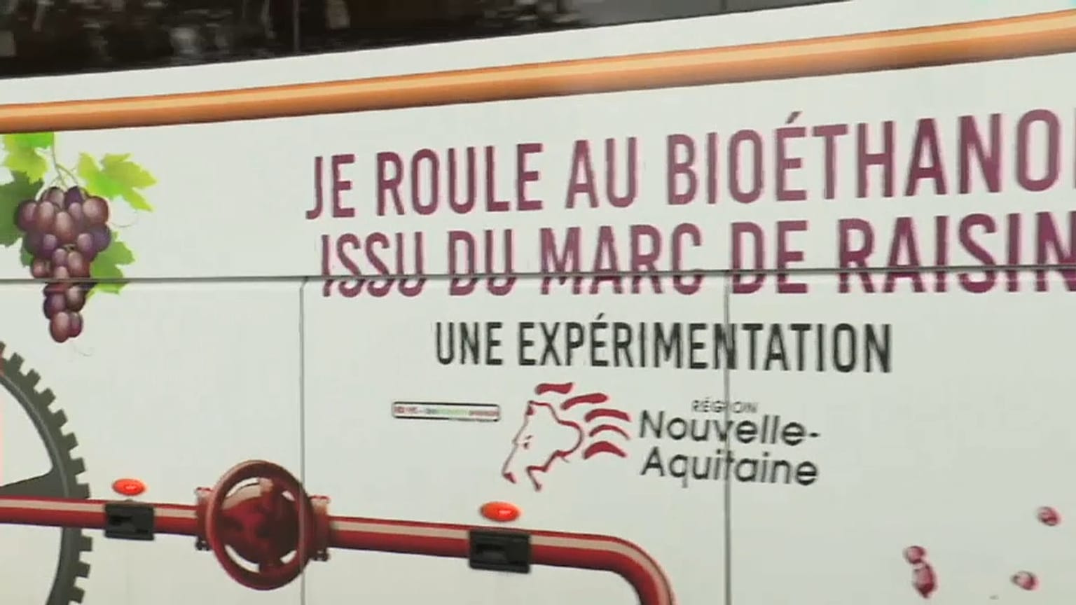 Il futuro nel vino