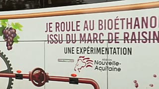 Il futuro nel vino