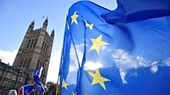 Anti-Brexit demonstrators wave EU flags outside Westminster.
