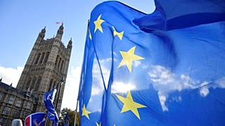 Anti-Brexit demonstrators wave EU flags outside Westminster.