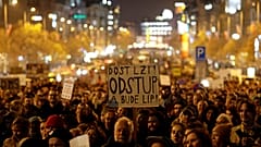 Бабиша обвиняют в похищении Бабиша