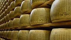 Péril sur le parmesan à l'ONU, la France en partie responsable 