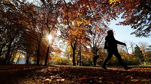 Temperatures in November above average