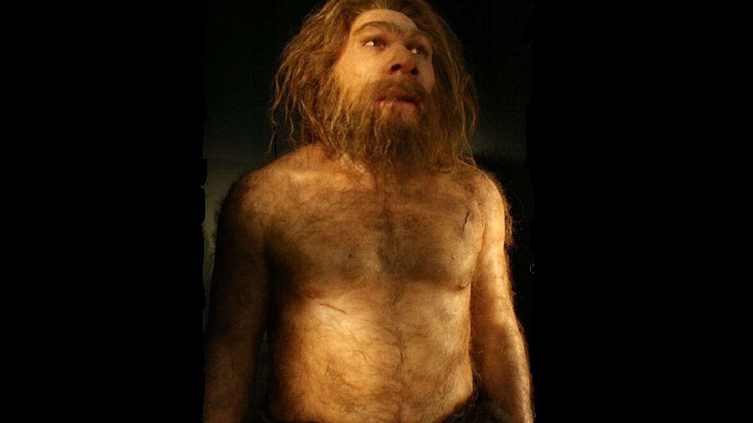 صورة ترمز لرجل نيادرتال