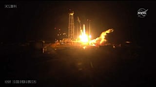 Cygnus lleva el pavo de Acción de Gracias a los inquilinos de la EEI