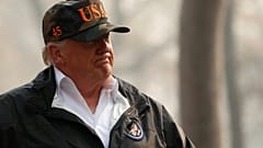 Finlandeses satirizam Trump com limpeza de florestas