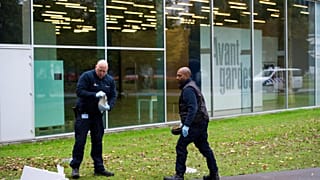 Hollanda'da çalınan Picasso tablosu Romanya'da gömülü halde bulundu
