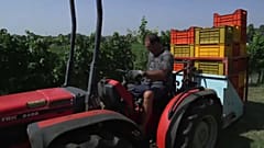 Etichette vino: l'Ue rettifica 
