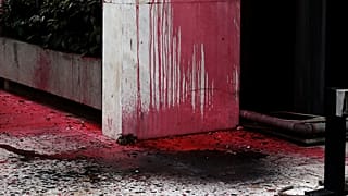Συνελήφθη ηγετικό στέλεχος του Ρουβίκωνα
