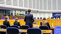 AİHM eski yargıcı Türmen: Demirtaş kararı Türkiye’de demokrasinin olmadığını gösteriyor
