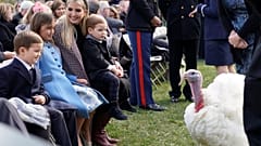 Trump und der Truthahn - die 10 besten Fotos