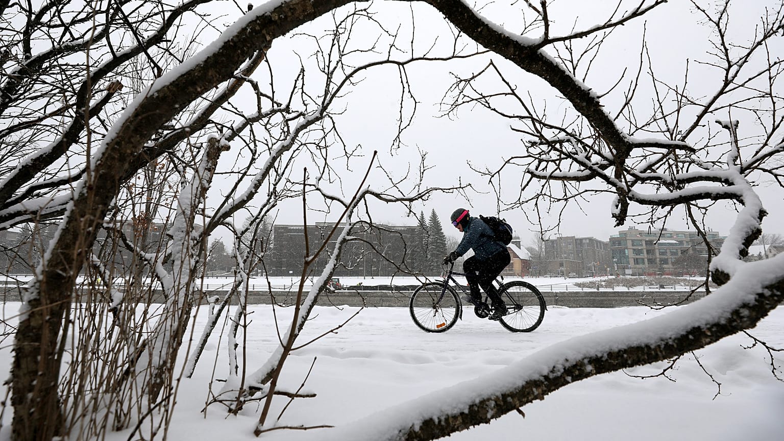 Der erste Schnee - 10 der schönsten Tweets