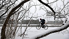 Der erste Schnee - 10 der schönsten Tweets