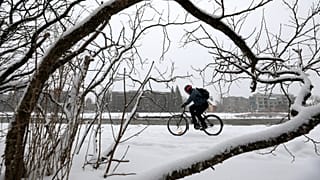 Der erste Schnee - 10 der schönsten Tweets