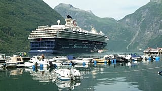 Ölü balık enerjisi: Norveç'te deniz taşımacılığı için balıktan yakıt elde edilecek