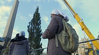 Un árbol de Navidad de 23 metros llega al Vaticano