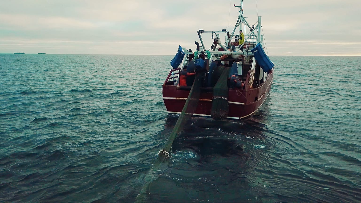 La pêche européenne récolte les fruits d'une gestion durable