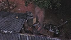 Chine : visite surprise d'un éléphant