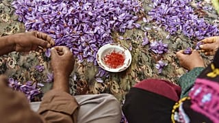 یک عضو اتاق بازرگانی: زعفران ایران با نام افغانستان صادر می‌شود
