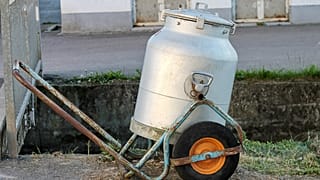 Es hagelt Kritik an Karliczek: Von Milchkannen und Ehe für alle 2018