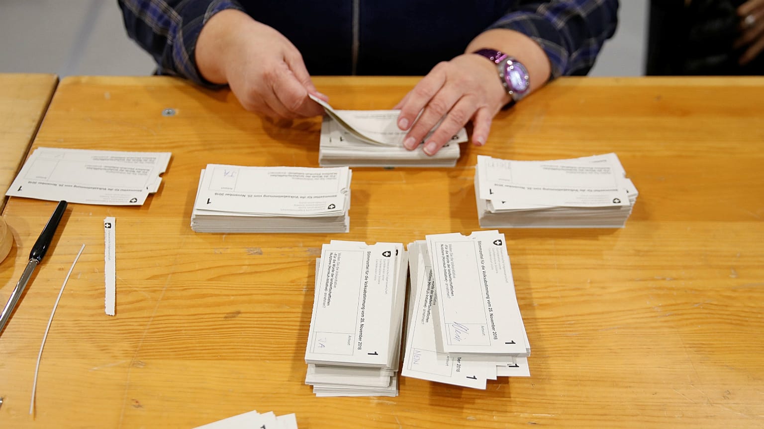 İsviçre'de inek boynuzları ve iç hukuk için yapılan referandum sonuçlandı