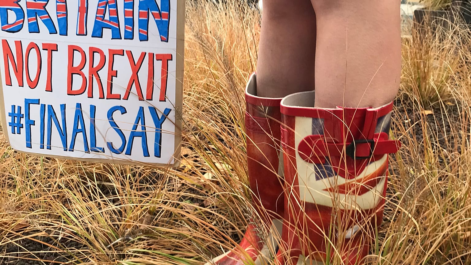 Anti Brexit protesters gathering outside an EU summit in Brussels 