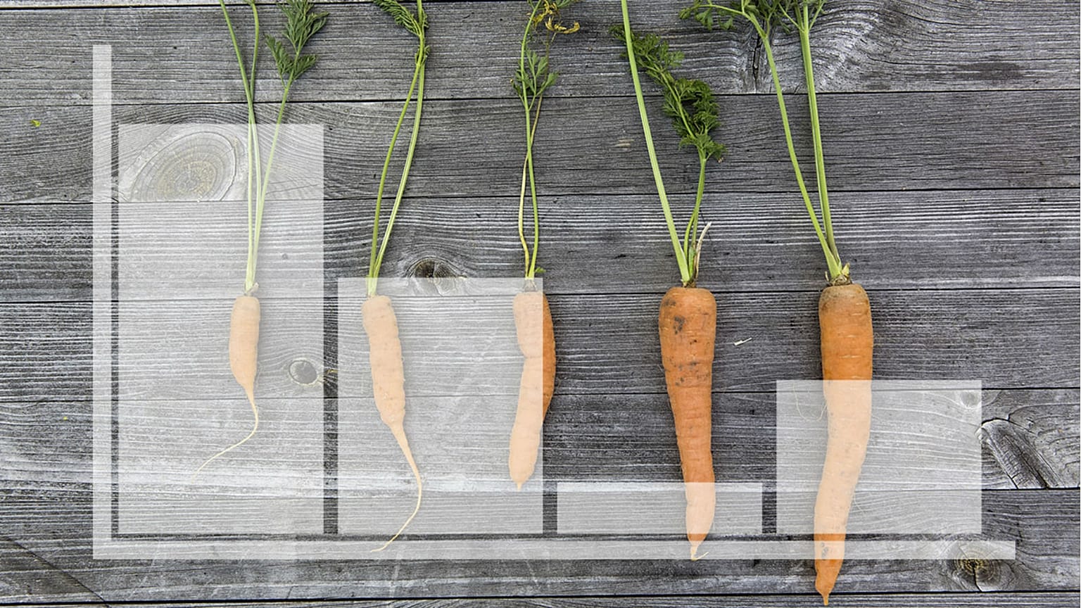 Which European countries ranked highest for food sustainability in 2018?