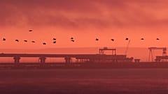 Керченский мост на закате