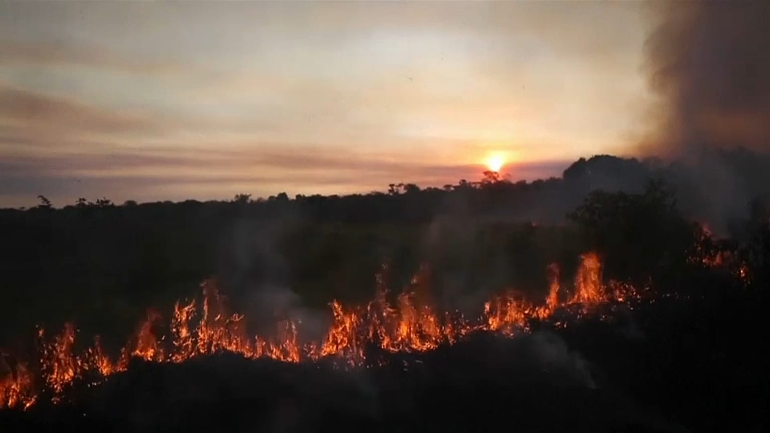 7.900 Quadratkilometer in 1 Jahr: Brasilien holzt Regenwald wie nie