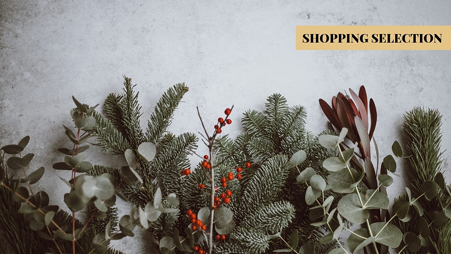 Vegan Christmas Gift List