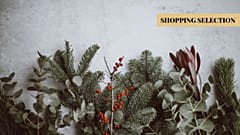 Vegan Christmas Gift List