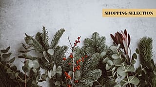 Vegan Christmas Gift List