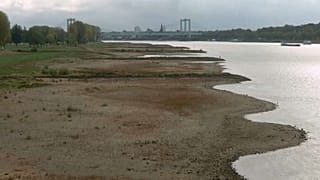 Rhein-Niedrigwasser und Waldbrände - Deutschland und der Klimawandel