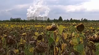 Ehrgeizige Klimaziele der EU-Kommission