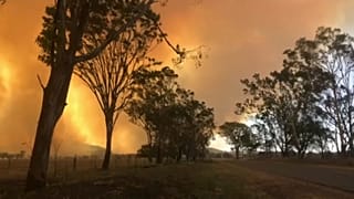 Australia: wildfires ravage Queensland