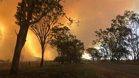 Australia: wildfires ravage Queensland
