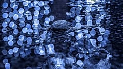 Photographer Daniel Grecu's lens for mother nature