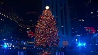 Fényárban úszik New York és Washington óriásfenyője is 