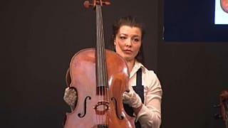 Виолончель маэстро ушла с молотка