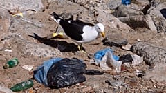 42% of plastic waste is recycled in the EU according to Eurostat.