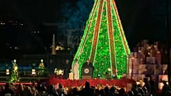 Donald y Melania Trump encienden el tradicional Árbol Nacional de Navidad