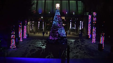 Things getting Christmassy at L.A. zoo