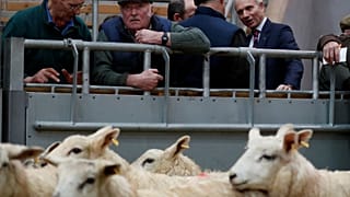 Scots in Brussels feel powerless about Brexit 