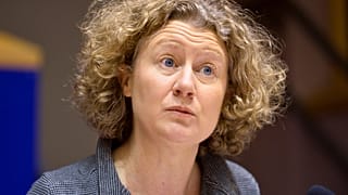 Sargentini napirendre tenné a magyar jogállamisági vitát