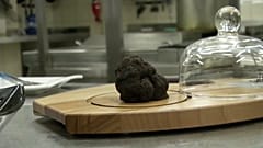 Las trufas desaparecerán por el cambio climático, según un nuevo estudio