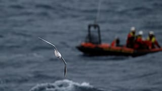 German NGO Sea-Watch during a training exercise on November 24, 2018.
