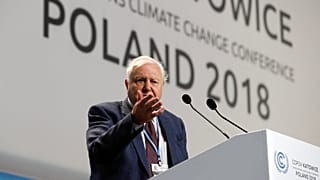 Civilizációnk összeomlására figyelmeztet Attenborough 