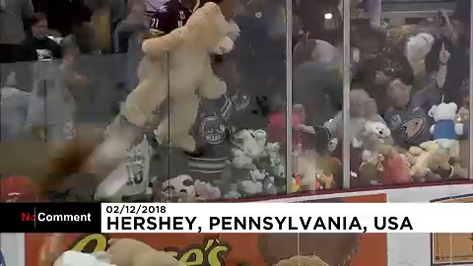 Tutti gli orsacchiotti degli Hershey Bears