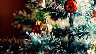Preserving a Christmas craft