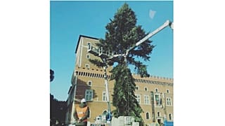 Is Rome on course for 'world's ugliest Christmas tree' for second consecutive year?